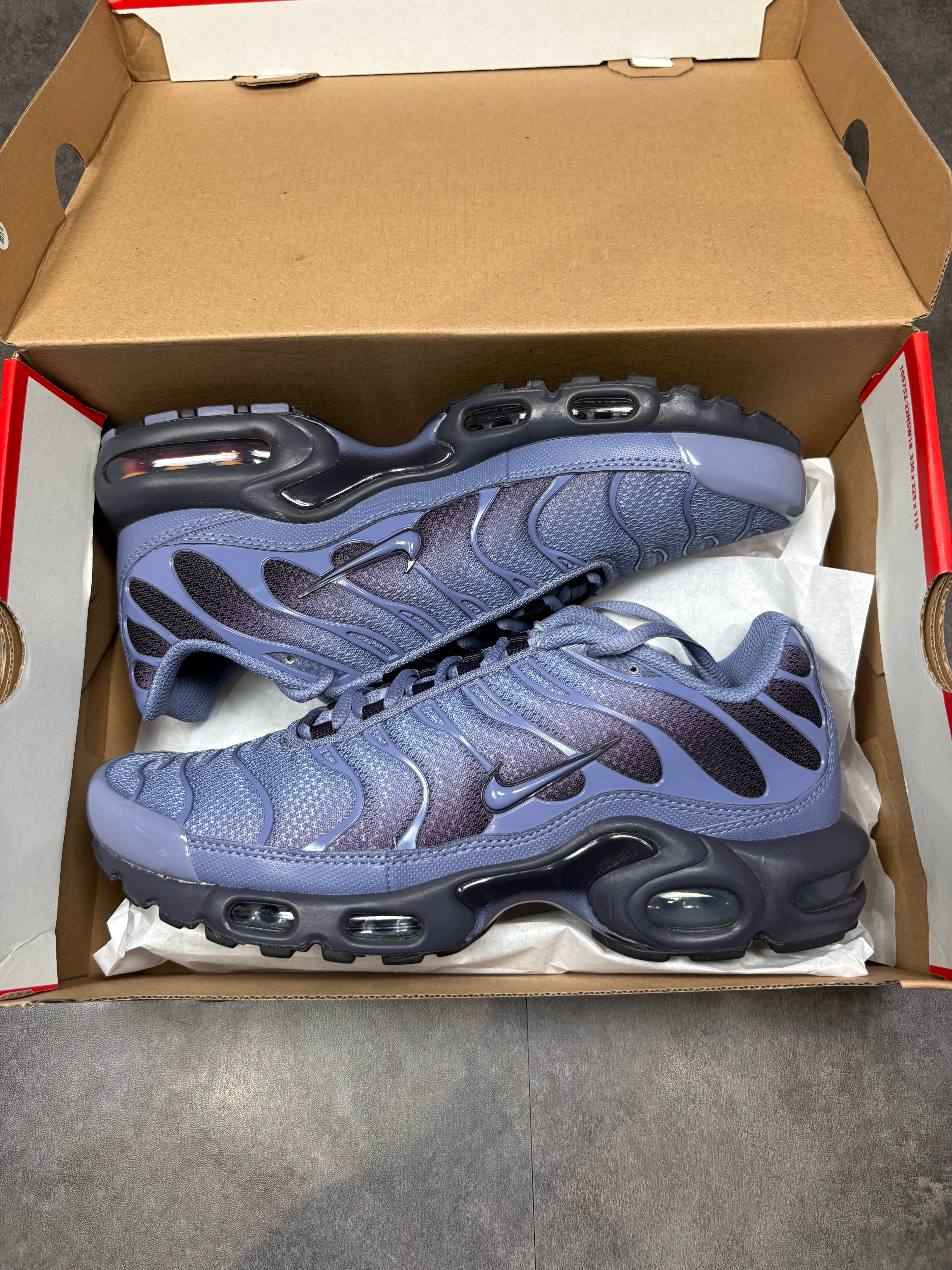Indigo nike TNS