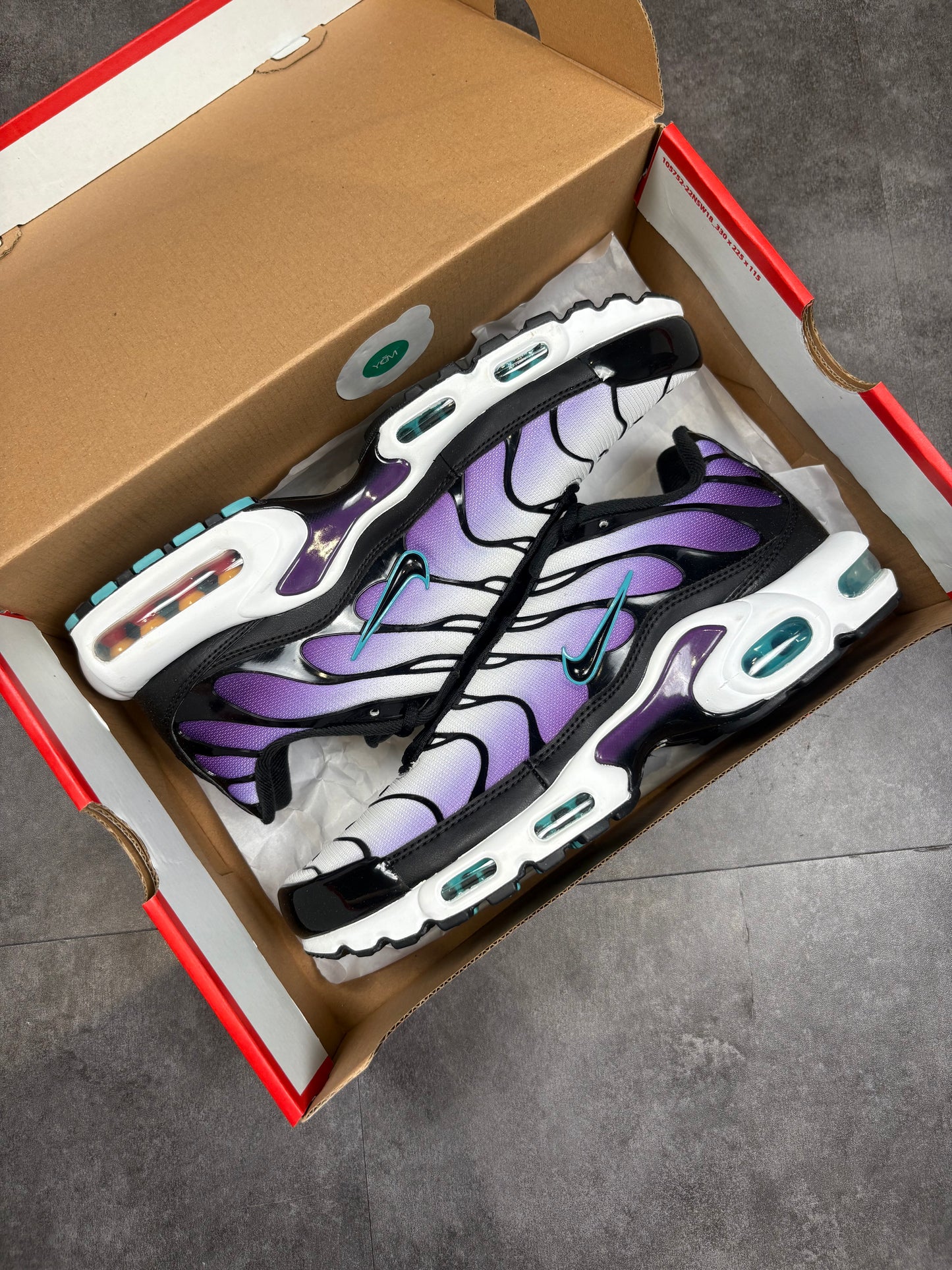 Disco purple TNS