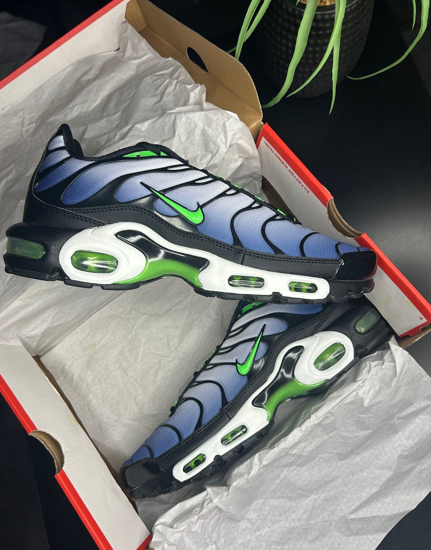 Scream green TNS