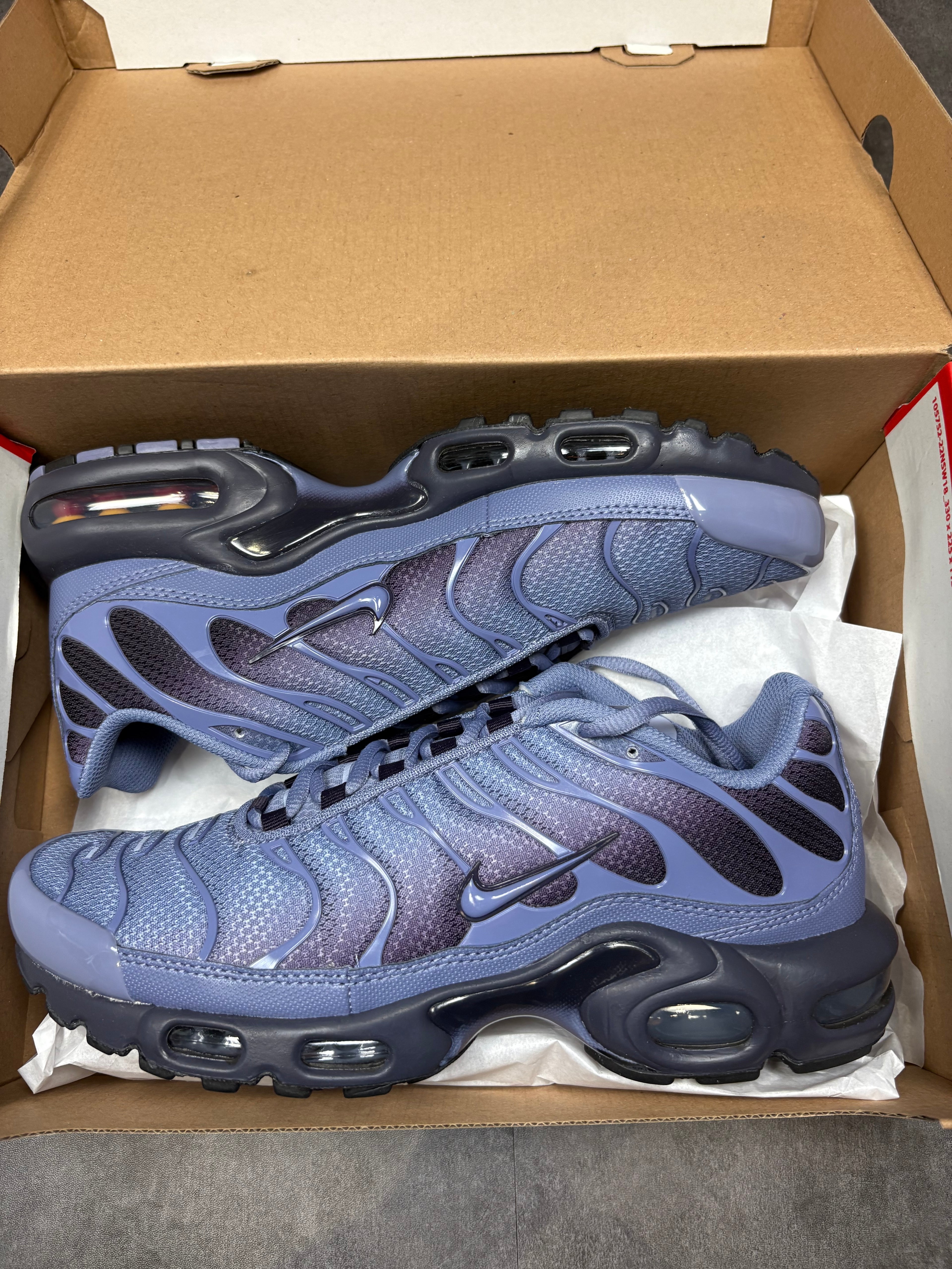 Indigo nike TNS