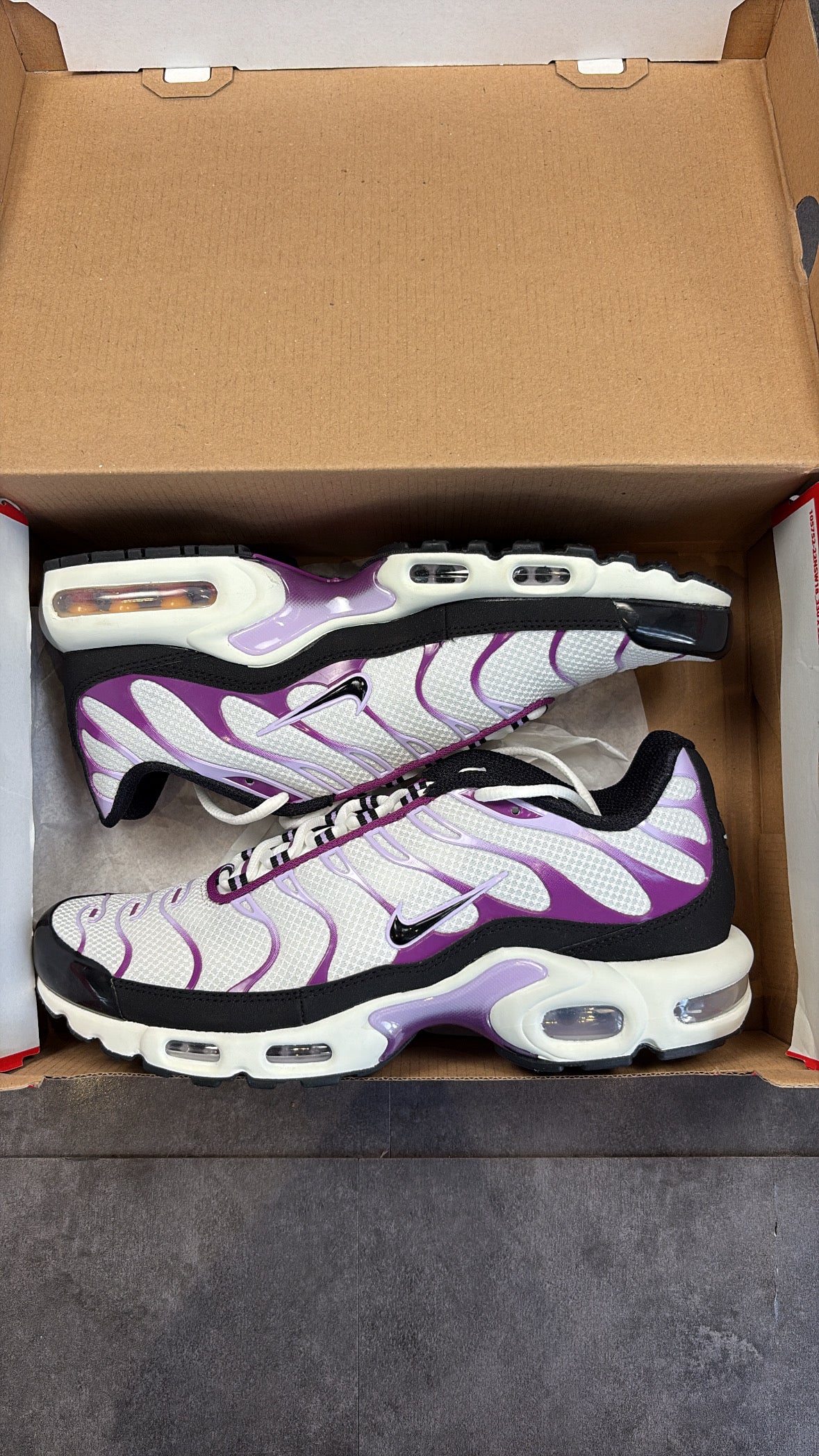 Black grape tns