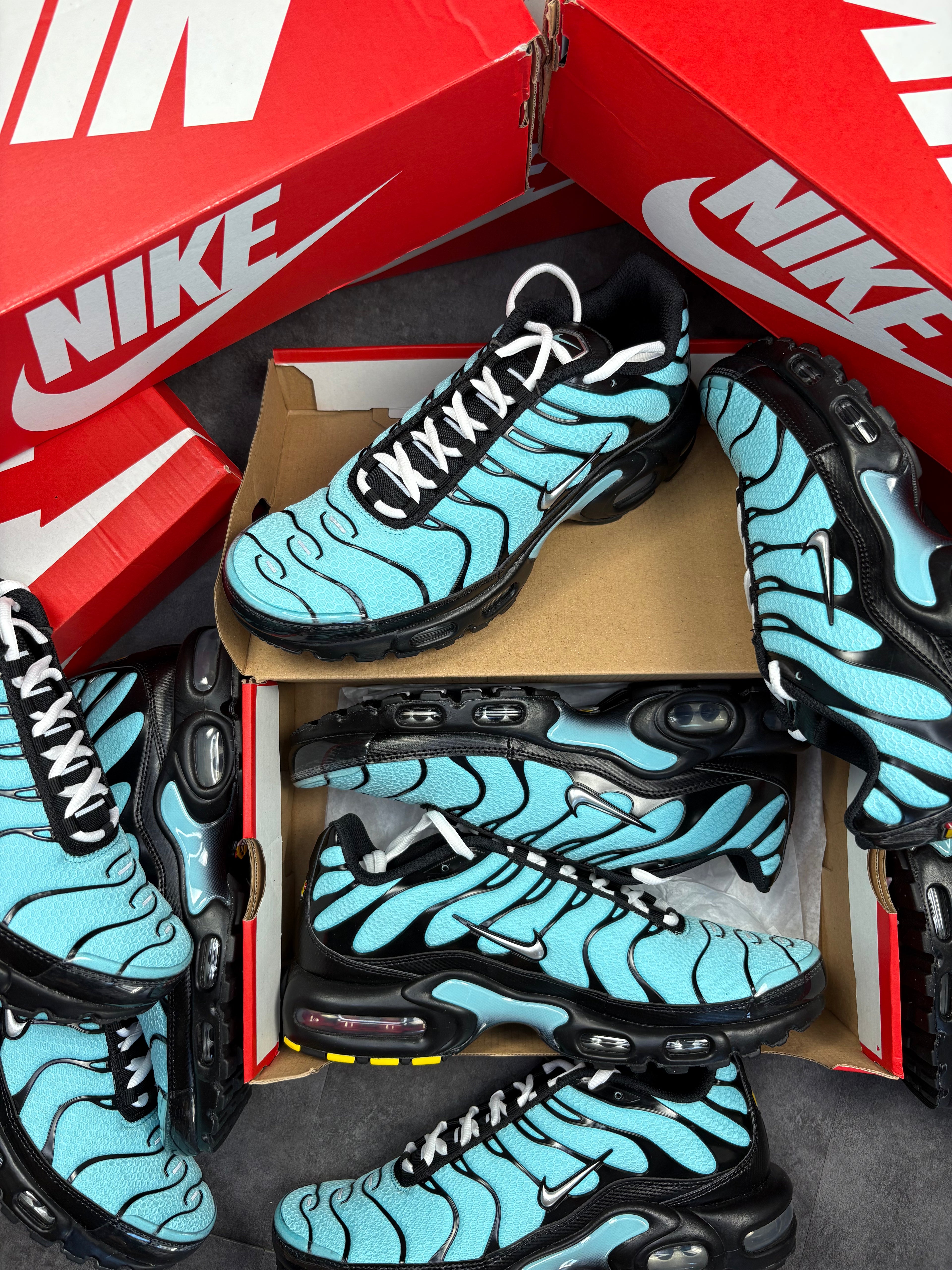 Tiffany TNS